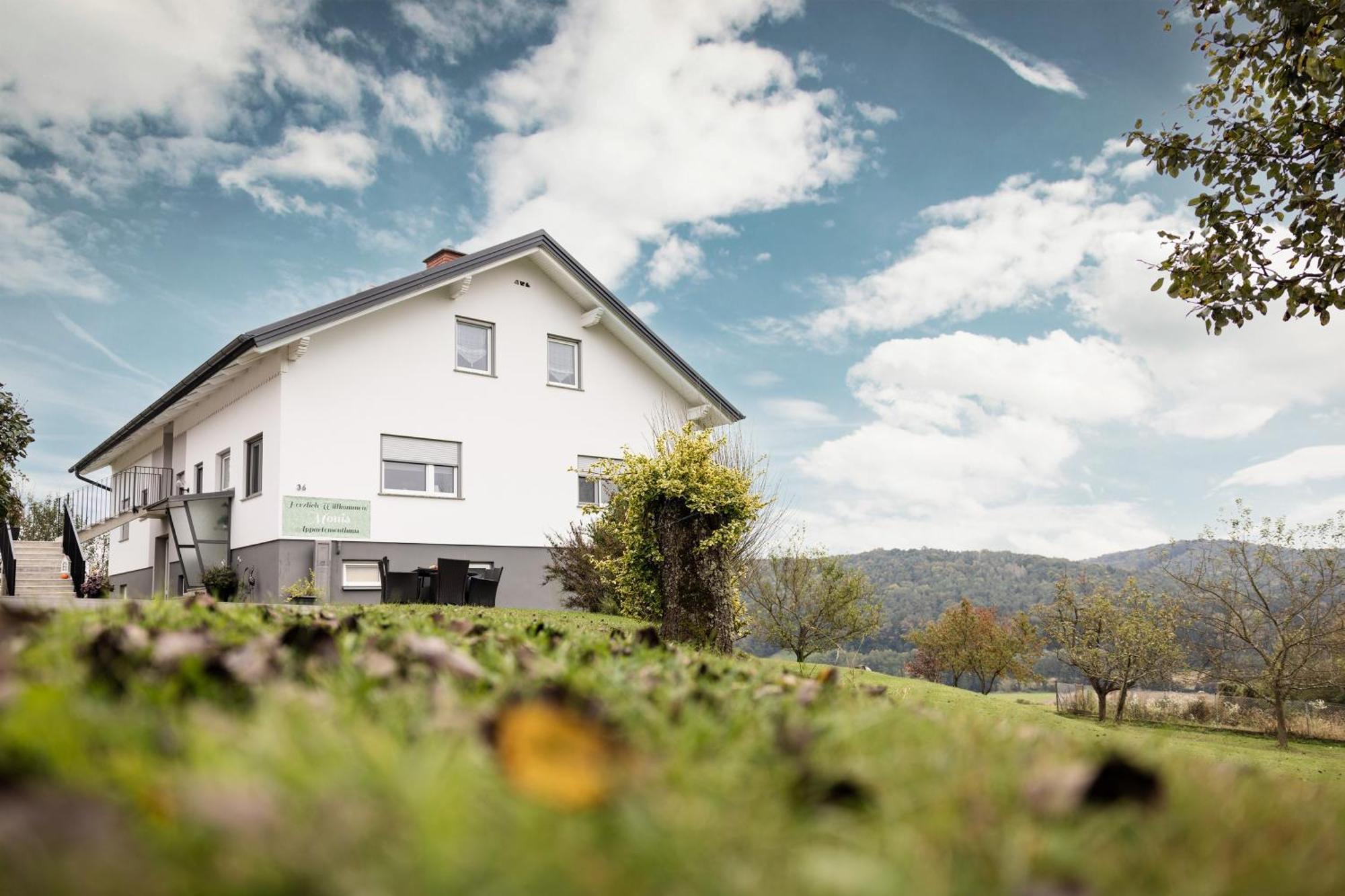 Monis Appartementhaus Unterlamm  Exterior photo